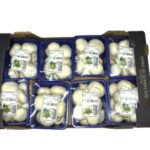 White Mushrooms Box. 2 KG china 🇨🇳