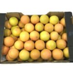 Grapefruit Box.  15 kg – (55-60 pcs per box) turkey🇹🇷