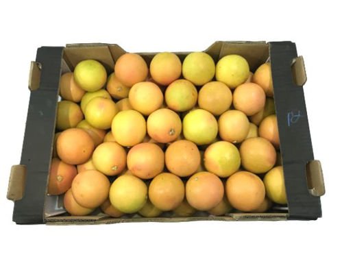 Grapefruit Box. 15 kg – (55-60 pcs per box) turkey🇹🇷