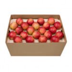 Apple Royal Gala Box  18 kg South Africa 🇿🇦