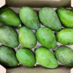 Avocado Fuerte Box. Approx 4kg kenya 🇰🇪
