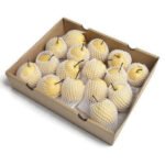 Nashi Pears (Ya Pears) Box  3 kg china 🇨🇳