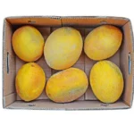 Sweet melon 10 kg iran 🇮🇷