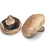 Mushroom Portabella( 2-3 piece/500gm Netherlands)🇳🇱