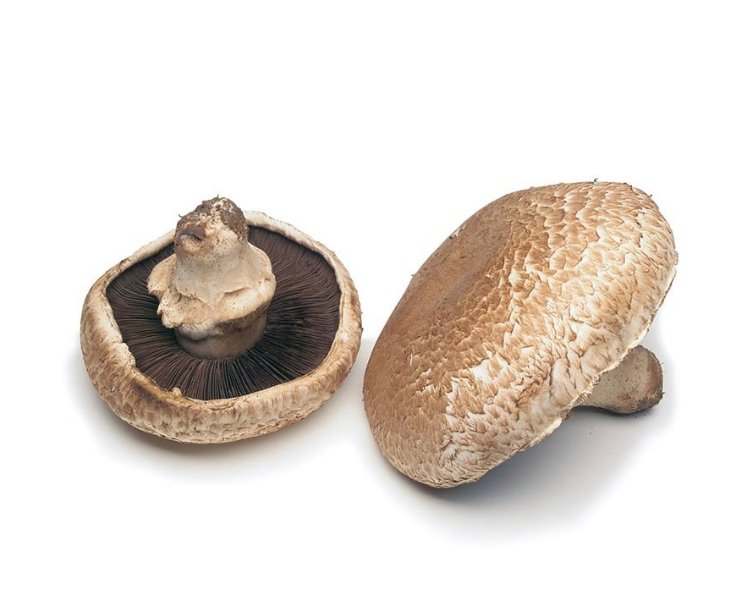 Mushroom Portabella( 2-3 piece/500gm Netherlands)🇳🇱
