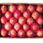 Apple Fuji box 18 kg china 🇨🇳