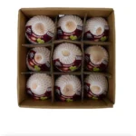 Coconut tender box 9 pices Vietnam 🇻🇳