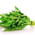 Lettuce Rocket(Italy)🇮🇹 125 gm per Pack