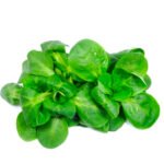 Lettuce Mache(Italy)🇮🇹 100 gm per pack