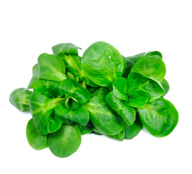 Lettuce Mache(Italy)🇮🇹 100 gm per pack