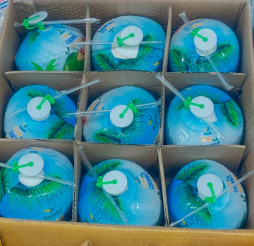 Young Coconut Premium Box 9 PCS (Vietnam)🇻🇳