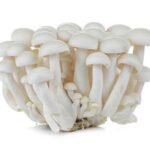 Mushroom Shimeji White(150gm/pack China)🇨🇳