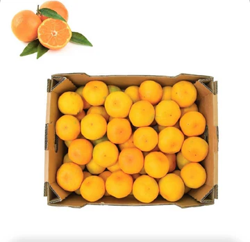 Mandarin 1 box 8 kg (china)