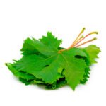 Grapes Leave(Lebanon)🇱🇧 Approx 250gm per packet