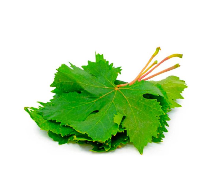 Grapes Leave(Lebanon)🇱🇧 Approx 250gm per packet