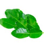 Lime Leaves(Thailand)🇹🇭 Approx 250gm per packet