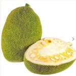 Jack fruit green 1 kg India 🇮🇳