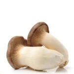 King Oyster Mushroom(150 gm/pack China)🇨🇳