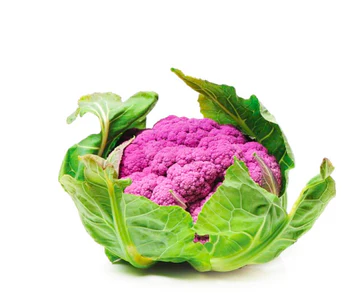 Cauliflower Purple(600gm-800gm Netherlands)🇳🇱