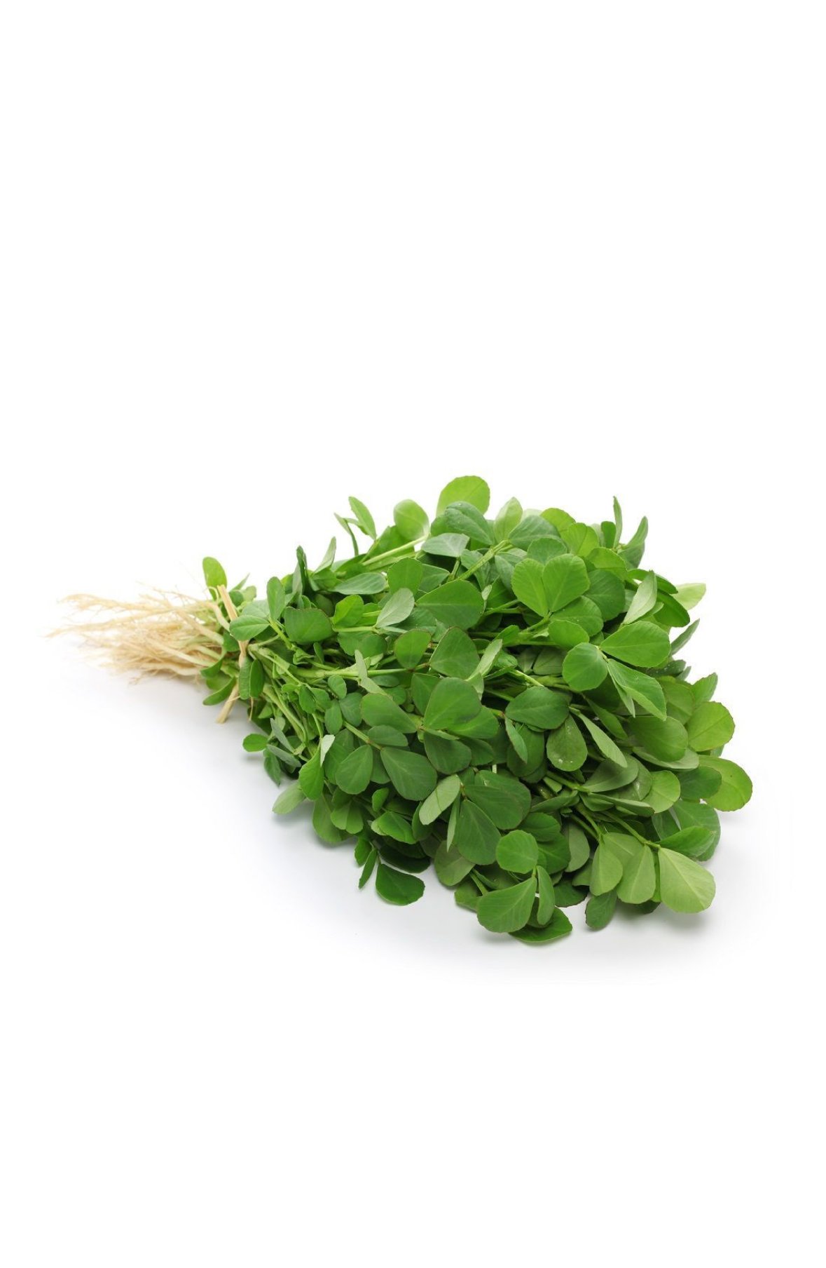 Fenugreek (Methi Leaves) Premium 200g