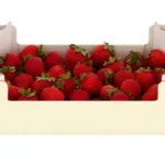 Strawberry Egypt 🇪🇬 box 2.5 kg