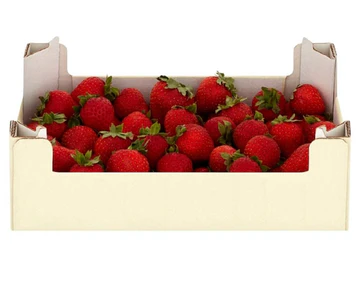 Strawberry Egypt 🇪🇬 box 2.5 kg