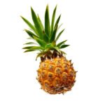 Pineapple baby 200-300g Thailand 🇹🇭