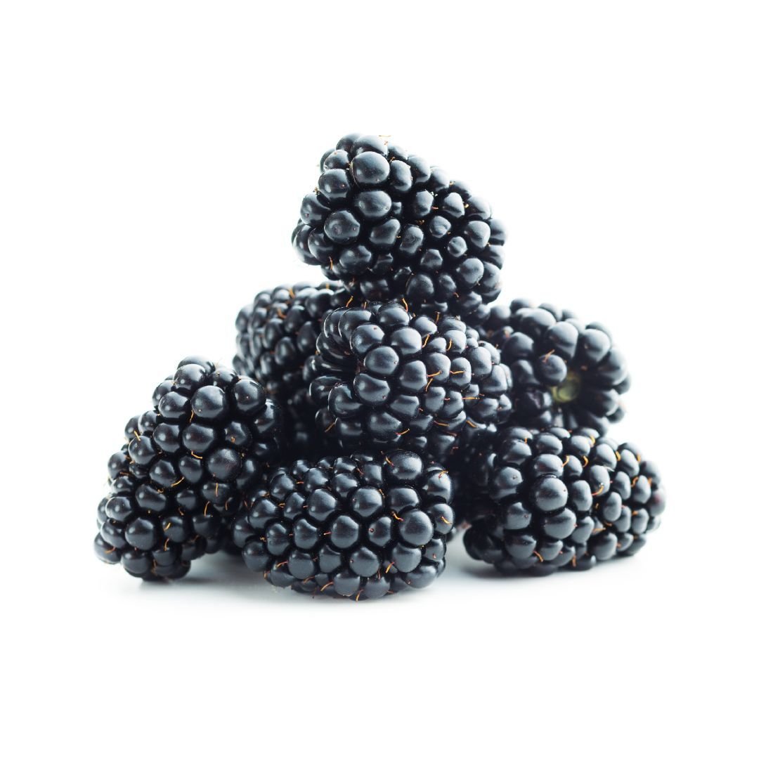 Blackberry 125g Mexico 🇲🇽