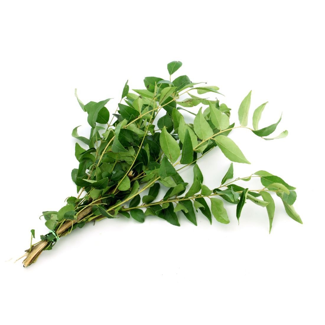 Curry Leaves Size: 100g Sri Lanka 🇱🇰