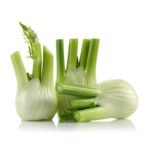 Fennel. Size: 250g Holland 🇳🇱