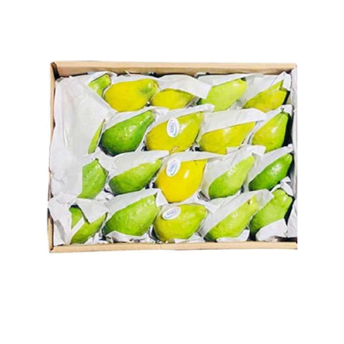 Guavas Size: 1 Box ~1.5-1.8Kgs. Egypt 🇪🇬