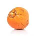 Coconut King/Yellow (1pc) Sri Lanka 🇱🇰