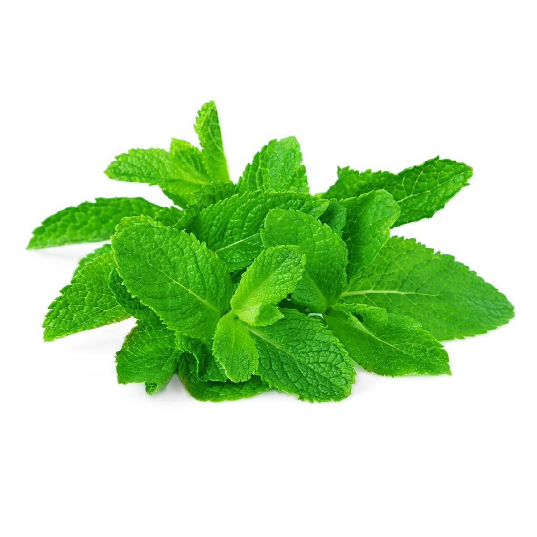Mint Leaves Size: 200g Oman 🇴🇲