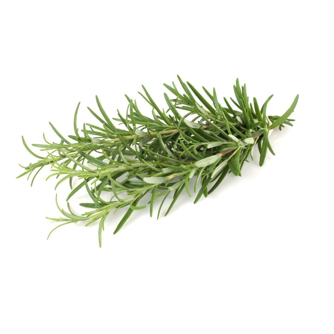 Rosemary 20g UAE 🇦🇪