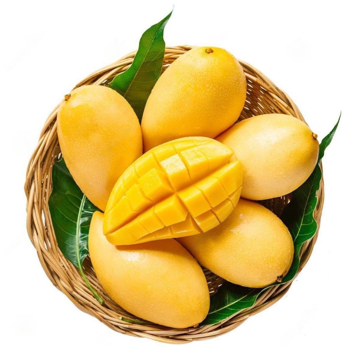 Pakistani mango sindhri baskets gift pack 10kg 🇵🇰